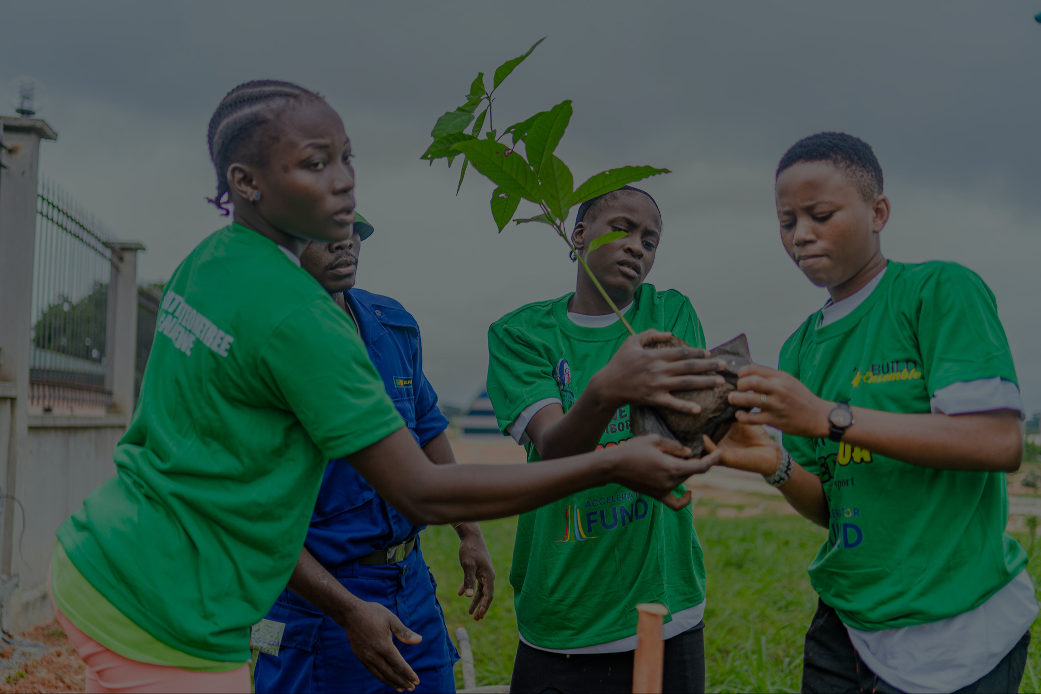 Young volunteers planting a tree together
